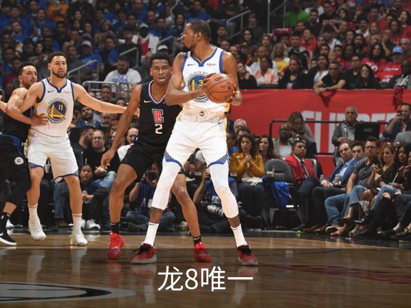 龙8唯一概况
